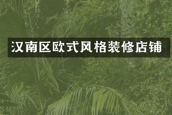 汉南区欧式风格装修店铺