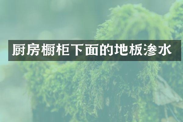 厨房橱柜下面的地板渗水