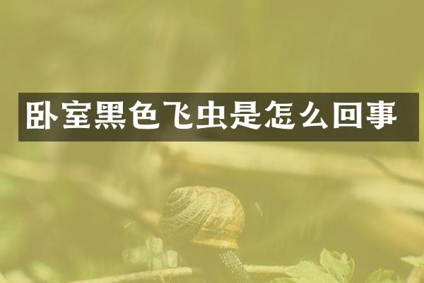 卧室黑色飞虫是怎么回事