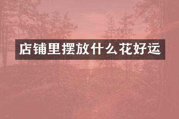 店铺里摆放什么花好运