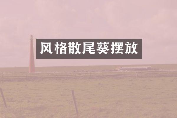风格散尾葵摆放