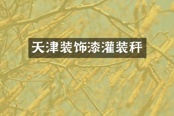 天津装饰漆灌装秤