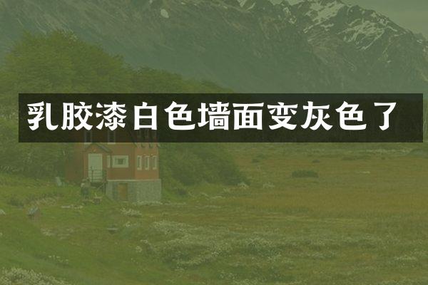 乳胶漆白色墙面变灰色了