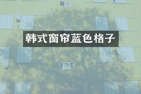 韩式窗帘蓝色格子