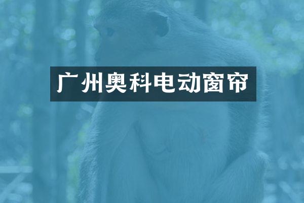广州奥科电动窗帘