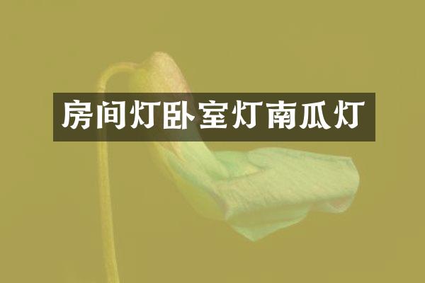 房间灯卧室灯南瓜灯