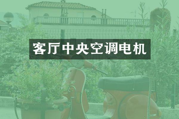 客厅中央空调电机