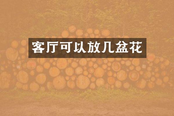 客厅可以放几盆花