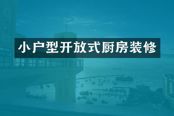 小户型开放式厨房装修