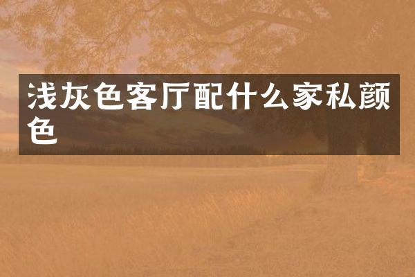 浅灰色客厅配什么家私颜色