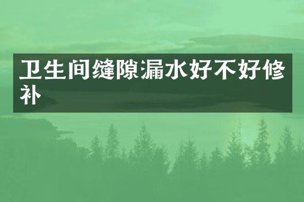 卫生间缝隙漏水好不好修补