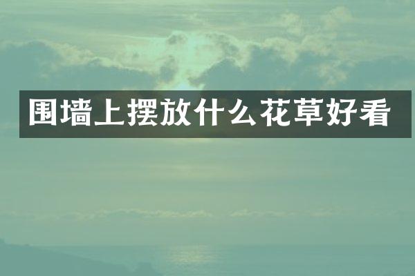 围墙上摆放什么花草好看