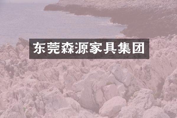 东莞森源家具集团