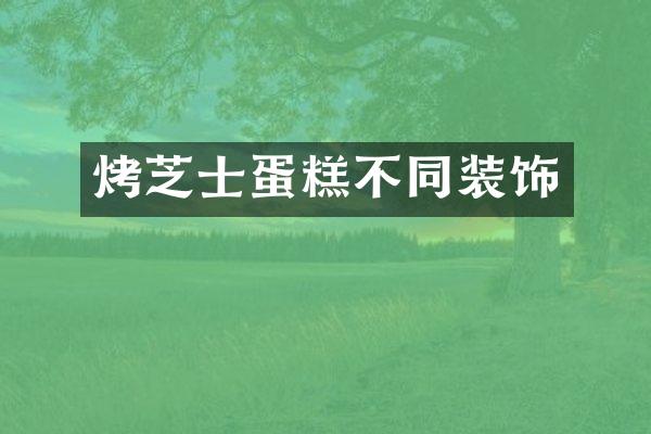 烤芝士蛋糕不同装饰