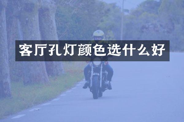 客厅孔灯颜色选什么好