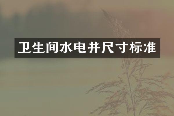 卫生间水电井尺寸标准