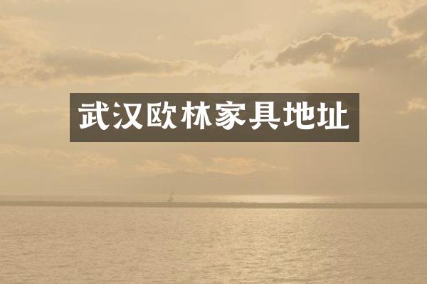 武汉欧林家具地址