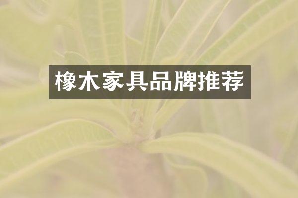 橡木家具品牌推荐