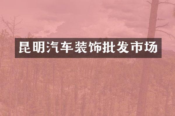 昆明汽车装饰批发市场