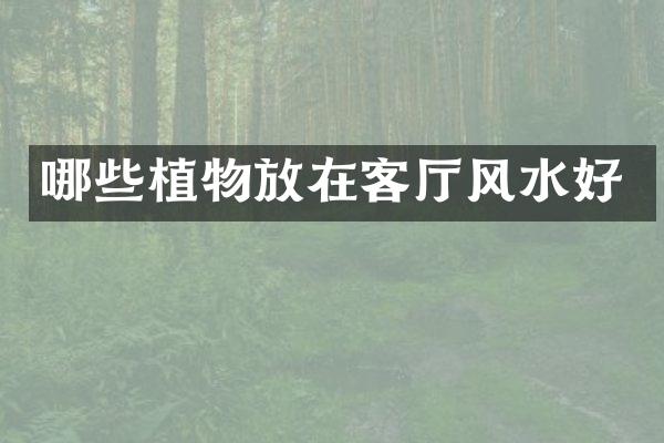哪些植物放在客厅风水好