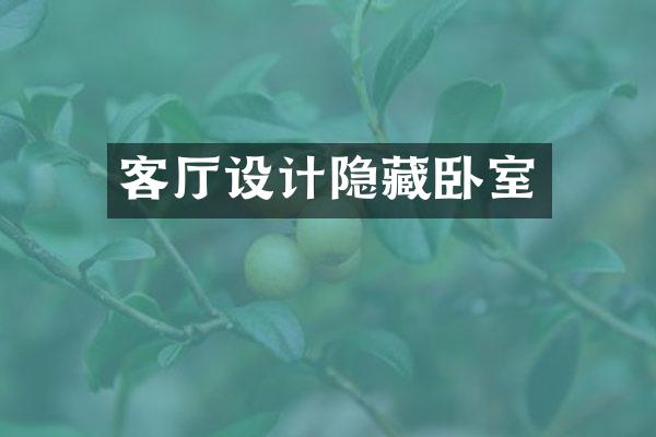 客厅设计隐藏卧室