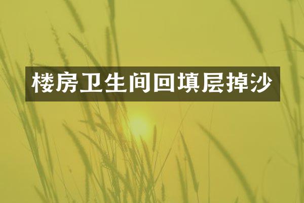 楼房卫生间回填层掉沙