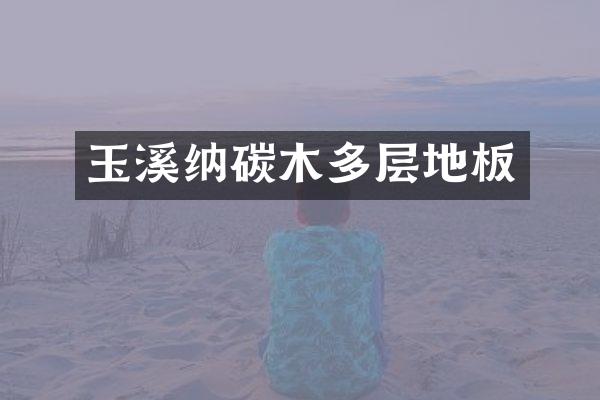 玉溪纳碳木多层地板