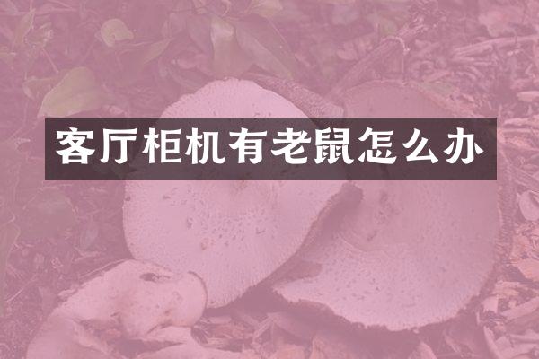 客厅柜机有老鼠怎么办