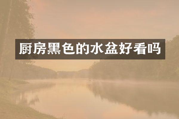 厨房黑色的水盆好看吗