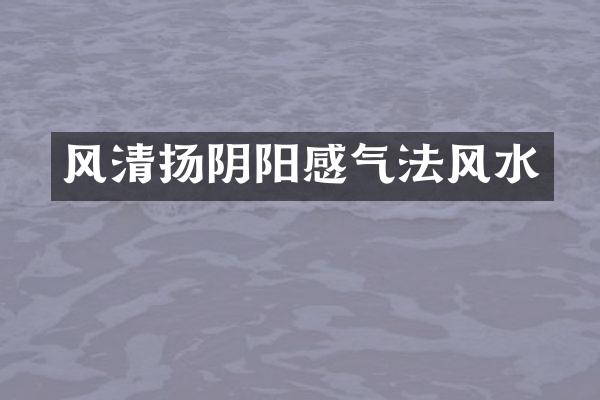 风清扬阴阳感气法风水