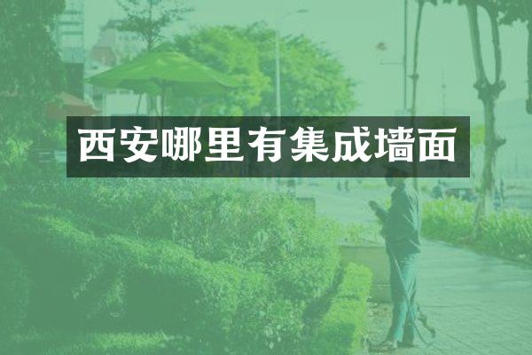 西安哪里有集成墙面