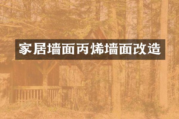 家居墙面丙烯墙面改造