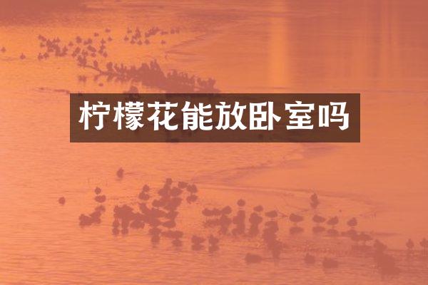 柠檬花能放卧室吗