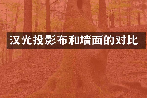 汉光投影布和墙面的对比