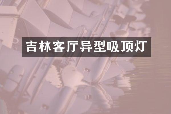 吉林客厅异型吸顶灯