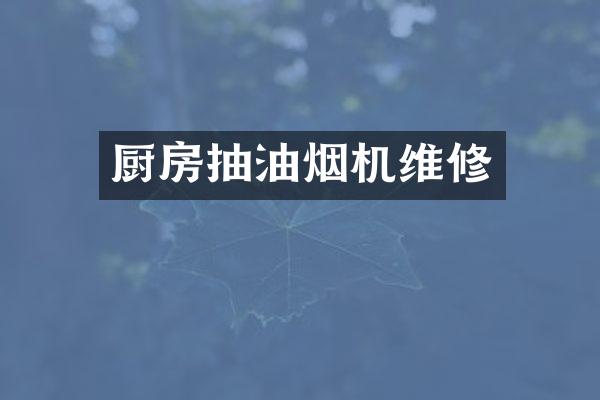 厨房抽油烟机维修