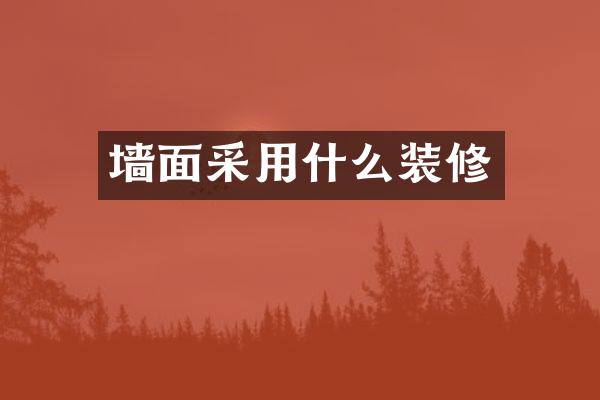 墙面采用什么装修