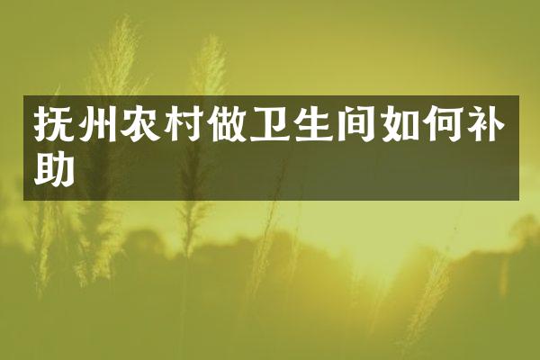 抚州农村做卫生间如何补助
