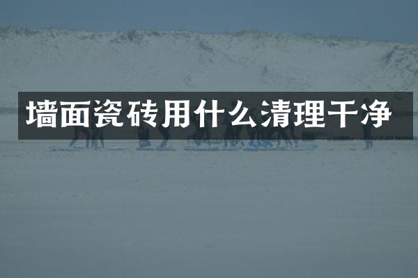 墙面瓷砖用什么清理干净