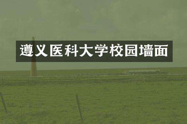 遵义医科大学校园墙面