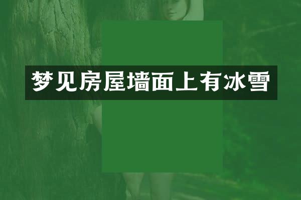 梦见房屋墙面上有冰雪