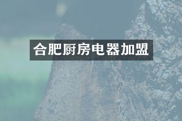 合肥厨房电器加盟