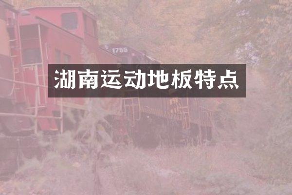 湖南运动地板特点