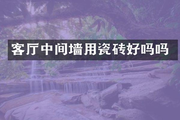 客厅中间墙用瓷砖好吗吗