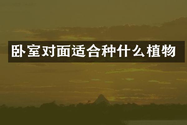 卧室对面适合种什么植物