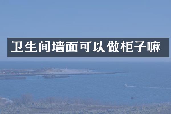 卫生间墙面可以做柜子嘛
