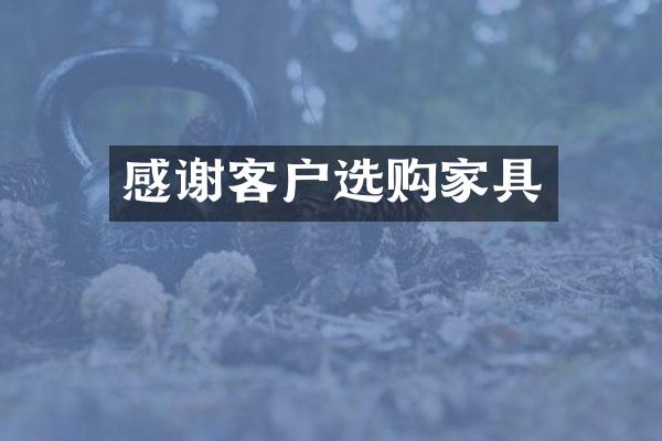 感谢客户选购家具
