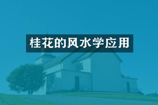 桂花的风水学应用