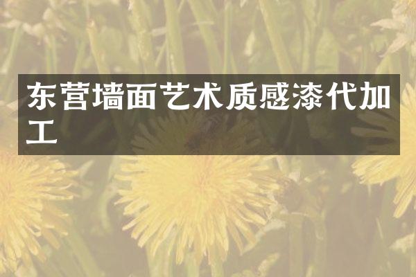 东营墙面艺术质感漆代加工