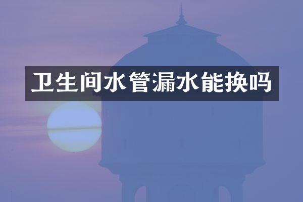 卫生间水管漏水能换吗